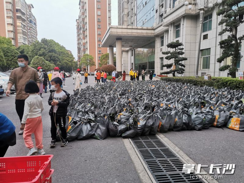 780份蔬菜包送到了湘林小區(qū)院內(nèi)。長沙晚報實習生 羅楊 攝